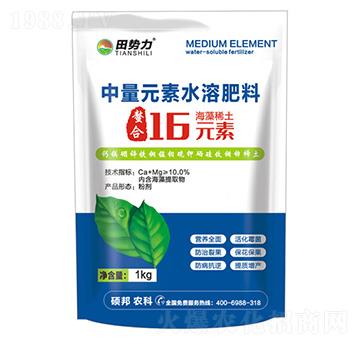 ����ϡ������16Ԫ��-���(sh��)��-�T���r(n��ng)�I(y��)