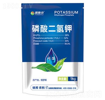 ��������-�����-�T���r(n��ng)�I(y��)