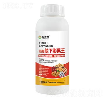 �T����������-���(sh��)��-�T���r(n��ng)�I(y��)