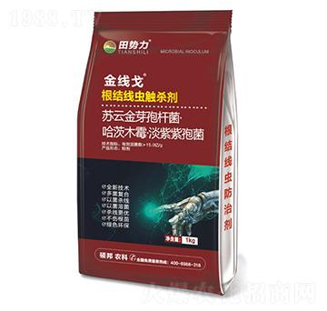 �𾀸�-���Y(ji��)���x(ch��ng)�|����-���(sh��)��-�T���r(n��ng)�I(y��)