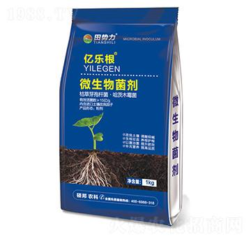 �|��(l��)��-΢�������-���(sh��)��-�T���r(n��ng)�I(y��)