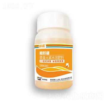 �Ǵ���-���{-�ڶ����