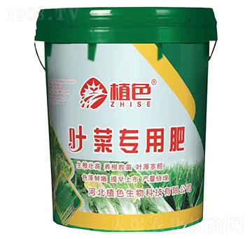 �~�ˌ��÷�-ֲɫ����