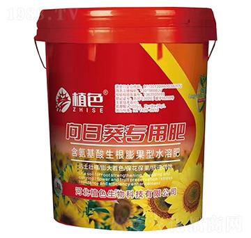 ���տ����÷�-ֲɫ����