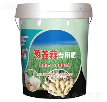 �[���⌣�÷�-ֲɫ����