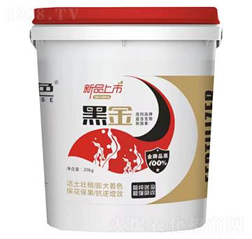 �ڽ�-ֲɫ����