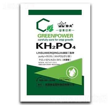 ��������-�ջ�-ɭ���_����