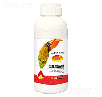 ΢�������-����-�W����