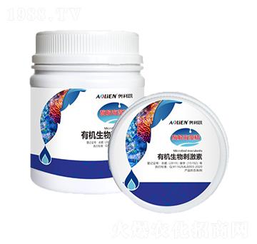 ø�⺣�徫-�W����