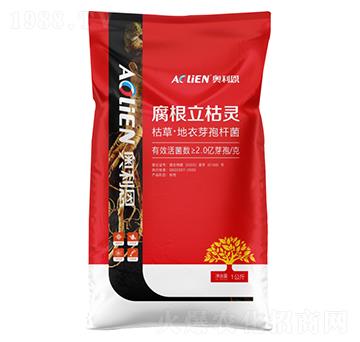 ���������`΢�������-�W����