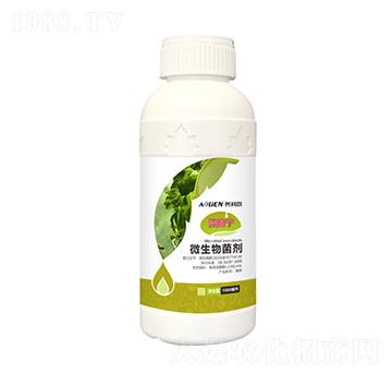 ������΢�������-�W����