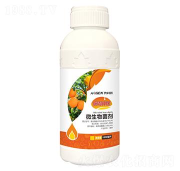 �������t(y��)΢�������-�W����