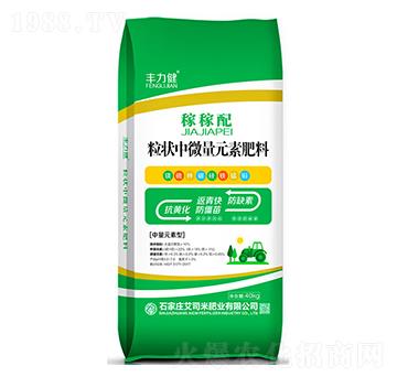 �ڼ���������΢��Ԫ�ط�