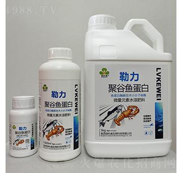 �����۹��~(y��)����-�G����