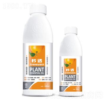 ��͸-��Ȼֲ�ﾫ����Ч��-��ï����