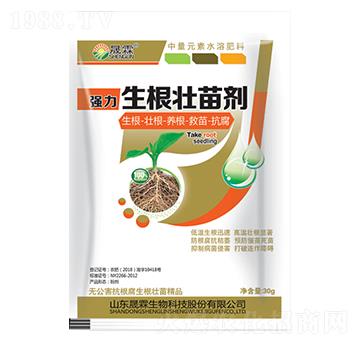 �������焩-��������