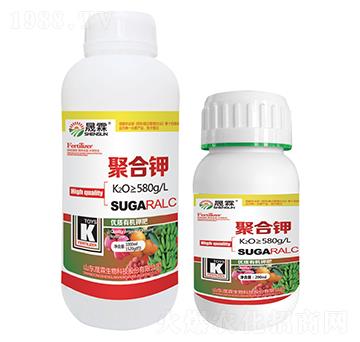 �ۺ��-��������