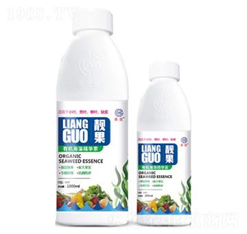 �ЙC(j��)���徫�A��-�n��-��ï����