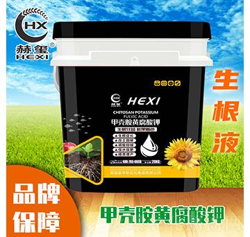 �ך����S�����-�խt