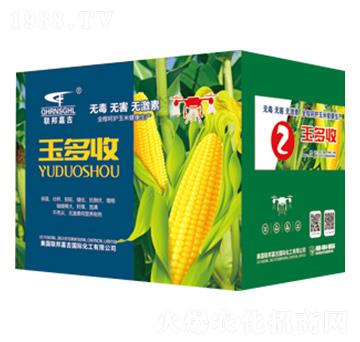 ���׌��ø߮a����-�����2-��μ�