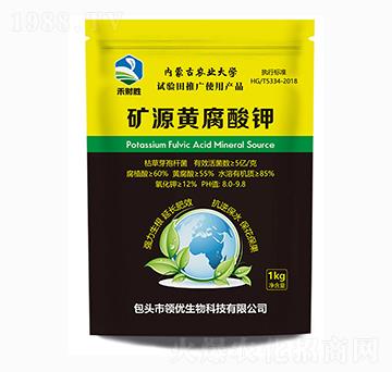 �VԴ�S�����-��ؔ��-�I��(y��u)����