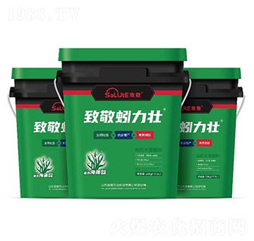 �����-�¾�