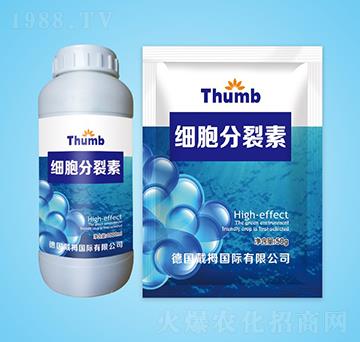 ����������-����r(n��ng)�I(y��)