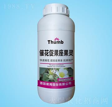 �߻����������`-����r(n��ng)�I(y��)