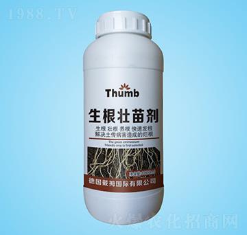 �������焩-����r(n��ng)�I(y��)