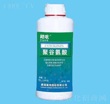 �۹Ȱ���-̤��-����r(n��ng)�I(y��)