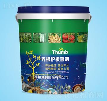 �B(y��ng)���o(h��)������-����r(n��ng)�I(y��)