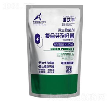 �ͺ�ѿ�ߗU��-�����S-��������