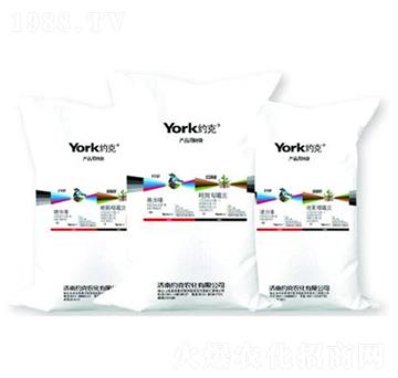 3%���x��w����+1%�׾����fù�`�w����-�_��+������-�s���r(n��ng)��