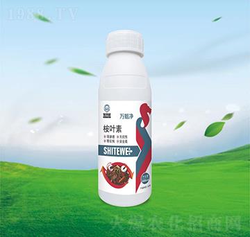 500ml桉葉素-萬蛆凈-施特威