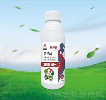 ���-�fǪ��-ʩ����