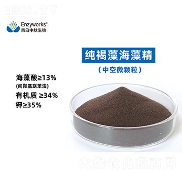 �����庣�徫(�п�΢�w��)-���u��������