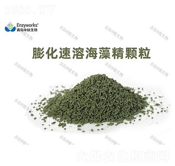 �����ܺ��徫�w��-���u��������