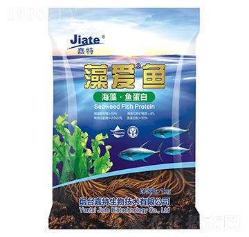 ��ۡ��~-��������