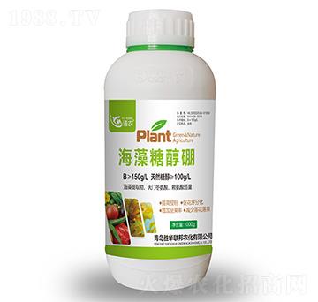 �����Ǵ���-�Z�r(n��ng)-���A(li��n)��