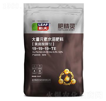 �S������ʹ���Ԫ��ˮ�ܷ�19-19-19+TE-�ʾ��`-�շ�