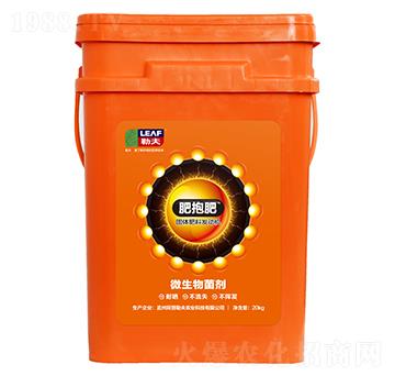 ΢�������-�ʱ���-�շ�