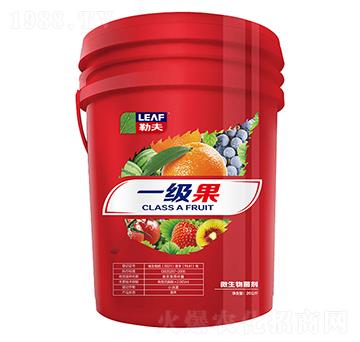 һ�����tͰ��-�շ�