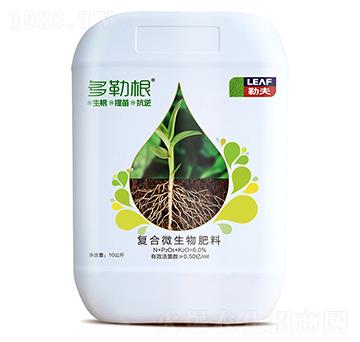 ���ո�-�շ�