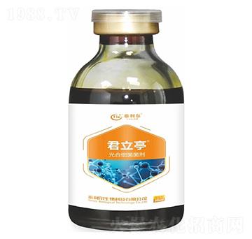 ��ϼ�(x��)������-����ͤ-̩����