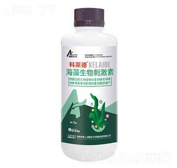 ��������̼���-���R��-��¶�����S