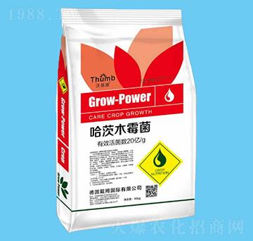 10kg����ľù��-������-����r(n��ng)�I(y��)