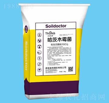 ����ľù����20�|�����-������-����r(n��ng)�I(y��)