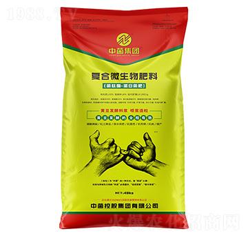 �ͺ�΢�������[����ø�����׾���]-�о�