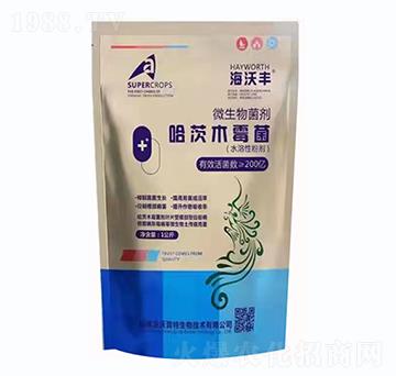 ����ľù����΢�������-�����S-�����_(d��)����