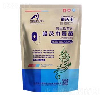 ����ľù��-�����S-�����_(d��)����